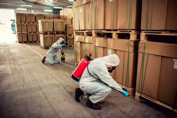 Best Residential Pest Control  in Crosby, ND