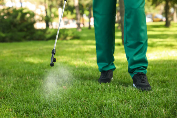 Best Wasp Removal Services  in Crosby, ND