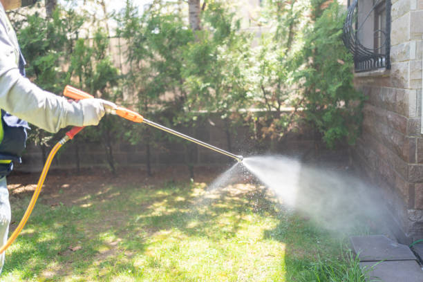 Best Pest Prevention Services  in Crosby, ND