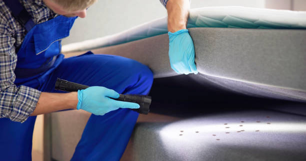 Best Pest Control for Restaurants  in Crosby, ND