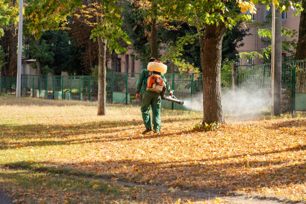 Best Local Pest Control Services  in Crosby, ND