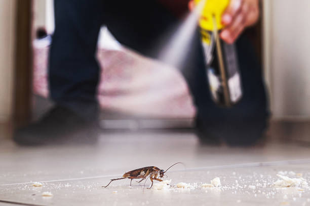 Best Affordable Pest Control Services  in Crosby, ND