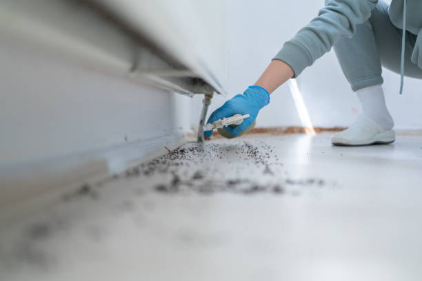 Pest Control for Restaurants in Crosby, ND